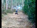 LTZ 400 PICADA