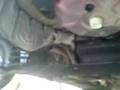 videos de Clio with NO Backbox