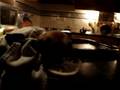 COCO SLEEPING IN THE MILK¡¡¡¡