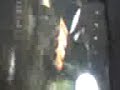 resident evil 4-verdugo knifed 2 resident evil 4-verdugo knifed 2
