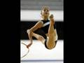 Rhythmic Gymnastics- Hard Training