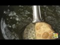 Papdi for papdi chat