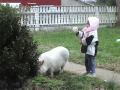 Beonca's Christmas Present Came Today