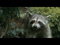 Furry Vengance mypreviews.com trailer