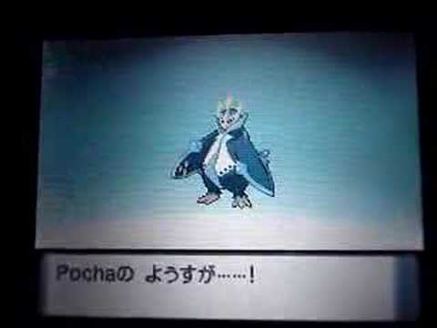 empoleon