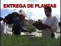 Producci�n de plantas forestales