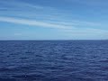roberto maui molokai channel whale
