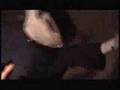 GIRL TALK - touch to feel