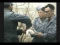 WWII INVASION OF SOUTHERN FRANCE 3 OF 3 RARE COLOR FILM