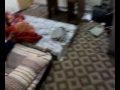 Our Flat 2