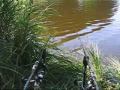 videos de Carp Fishing In The Netherlands! Screaming Carp Runs!