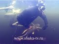Кубок "Президент" Подводная охота.