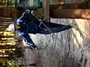 acropark davide e mirco