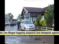 TW - A TOUGH BATTLE ON ILLEGAL LOGGING