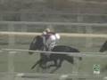 20070121: 4ª carrera (TRUENO NEGRO) by Fylo