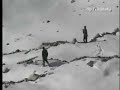 Shooting them like dogs