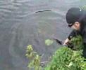 Loomaster\ Loomaster\