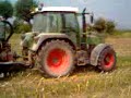 310 vario + vaia