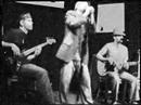 Serenading the Dead - Wish I Were Lonely (Genghis Cohen)