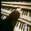 Bird Song