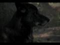 YouTube - Skinwalkers