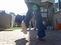Cwalk 2-way--jR3n and RediCuLusS