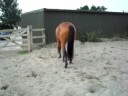 Billy !!