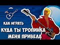 Куда ты тропинка меня привела (аккорды) Бременские музыканты. Уроки гитары Выпуск №40