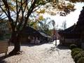 2008.11.11  韓國民俗村