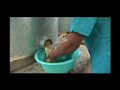 Healthy Farm & Home: Cantero Molina Family (FAO of the UN) Healthy Farm & Home: Cantero Molina Family (FAO of the UN)