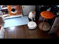 Click here to watch this video トイレしてる場合じゃないんじゃない？