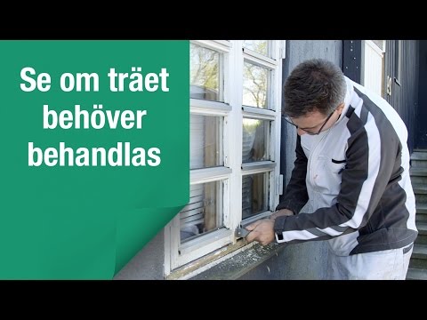 Video Title Video Alt