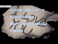 深イイ話のマジ感動して泣ける3行ラブレター【恋愛】part5 3行ラブレター