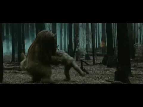 Imagen de previsualización de YouTube