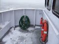 FREEZING FREEZING