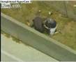 Wild Police Chase: Live Leak