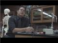 Science Questions : Einstein's Theory of Relativity Explained