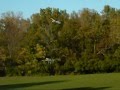 R/C multi purpose cargo plane (music video)