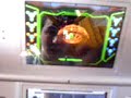 D.B.T GAMER SHOW METROID PRIME DS REVIEW EPISODE 62 PART 2