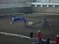 Taxi - Open Agility nede?a - Eurocup Mote?ice 2008
