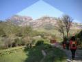 Xino-Xano 2008 / Sant Llorenç Savall