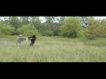How-to-be-Ninja