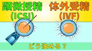 【受精】体外受精と顕微受精、さらに先進的な方法も紹介します