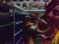 i Gattini di Bimba (2 di 2)