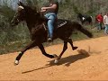 2007 Big Gun Trail Ride Race 2007 Big Gun Trail Ride Race