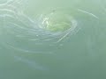 The Whirlpool Of THOROLD
