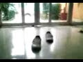 phantom shoes