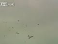 ACCIDENTE DE AVION EN POLAND**FIRULAY.COM