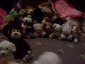 Webkinz birthday surprise Webkinz birthday surprise