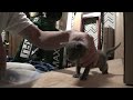 YouTubeサムネイル[gQDiNksw8jw] - 3枚目